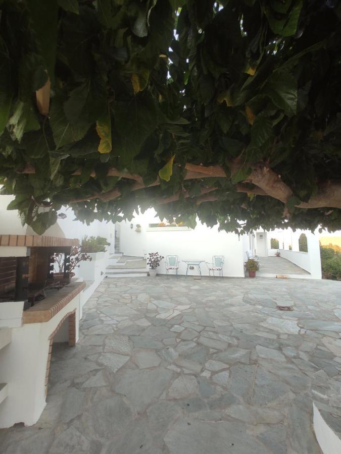 Villa House Moschα Ándros Exterior foto