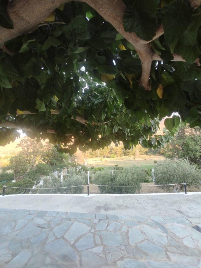 Villa House Moschα Ándros Exterior foto