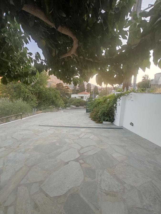 Villa House Moschα Ándros Exterior foto