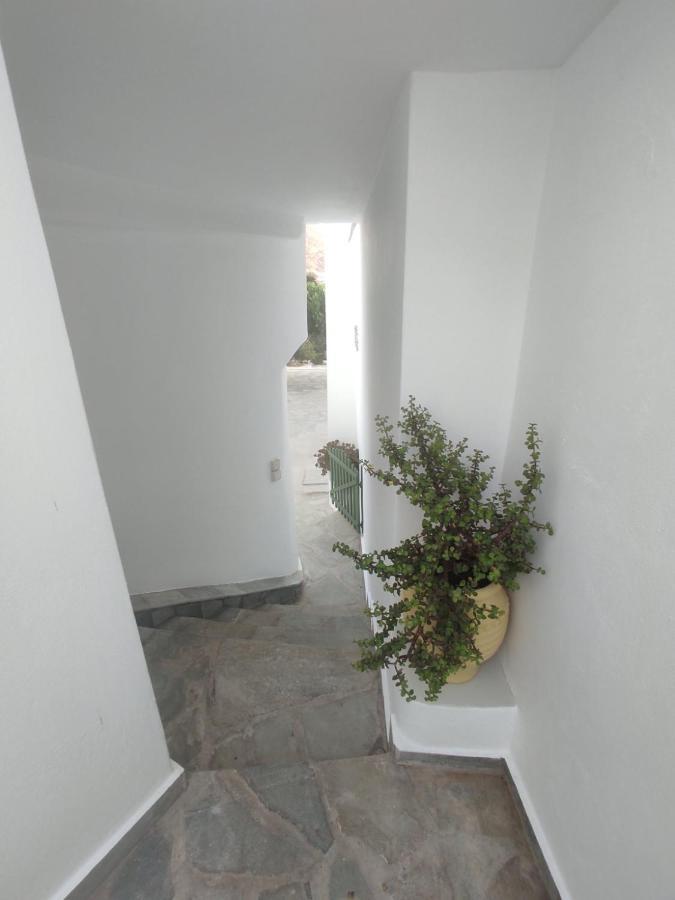 Villa House Moschα Ándros Exterior foto