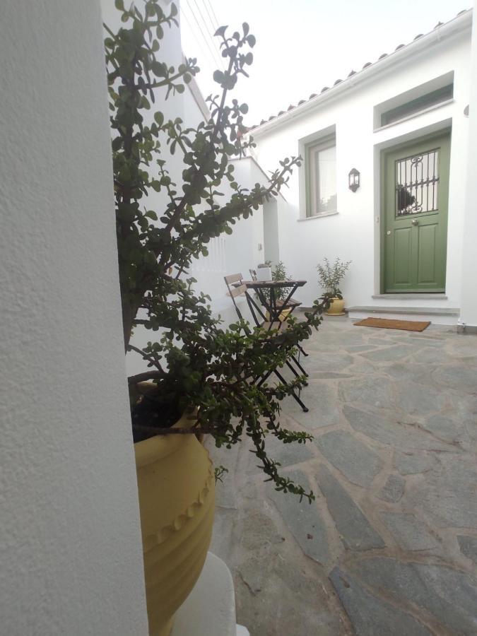 Villa House Moschα Ándros Exterior foto
